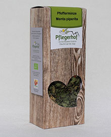 Menta piperita