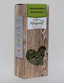 Menta romana