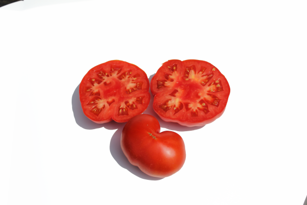 Bio-Tomatensamen Marmande