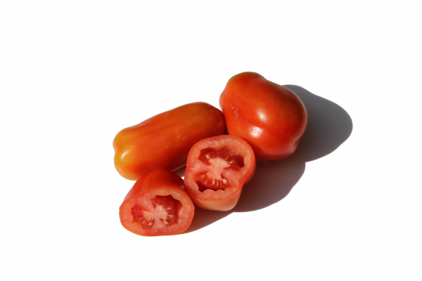 Bio-Tomatensamen Pelati / San Marzano