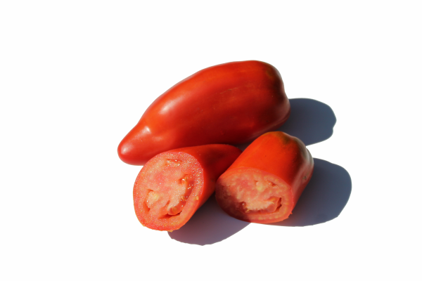 Bio-Tomatensamen Andenhorn