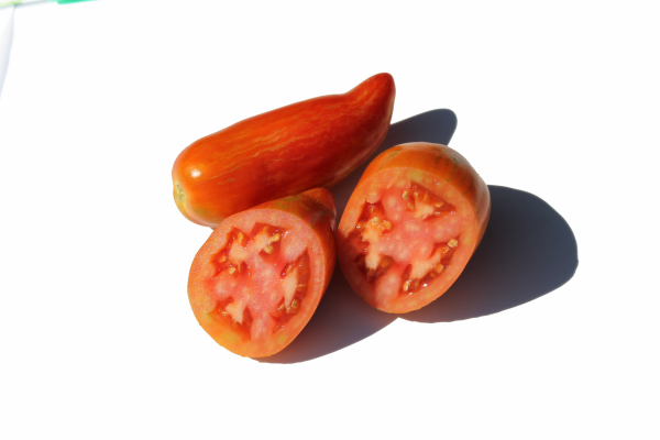 Bio-Tomatensamen Roma Striée