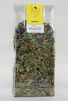 Hepatica