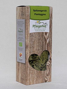 Piantaggine